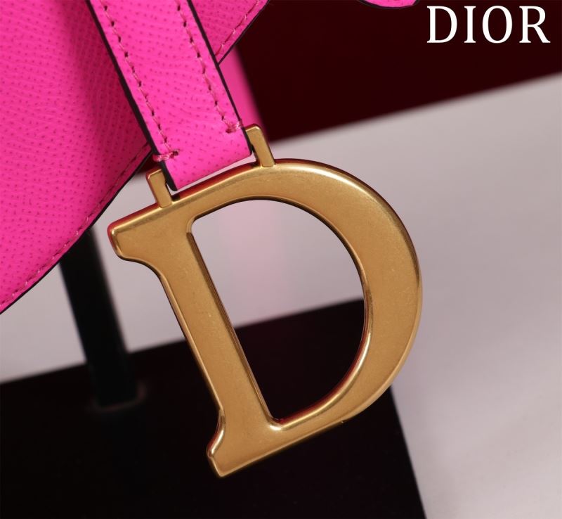 Christian Dior Saddle Bags